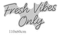Raffi Fresh Vibes Only